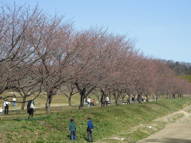 DSCN0823.jpg