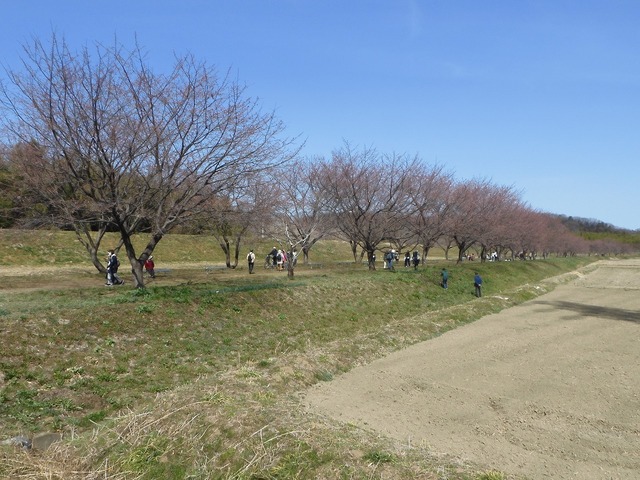 DSCN0824.jpg