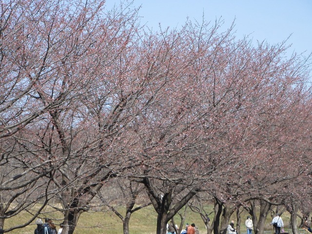 DSCN0825.jpg