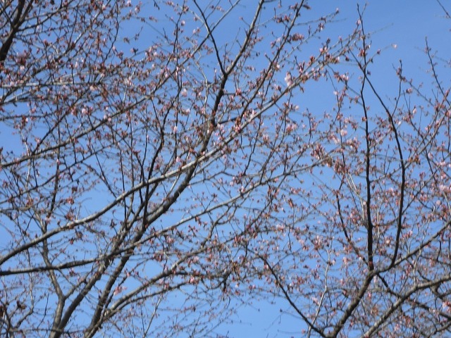DSCN0826.jpg