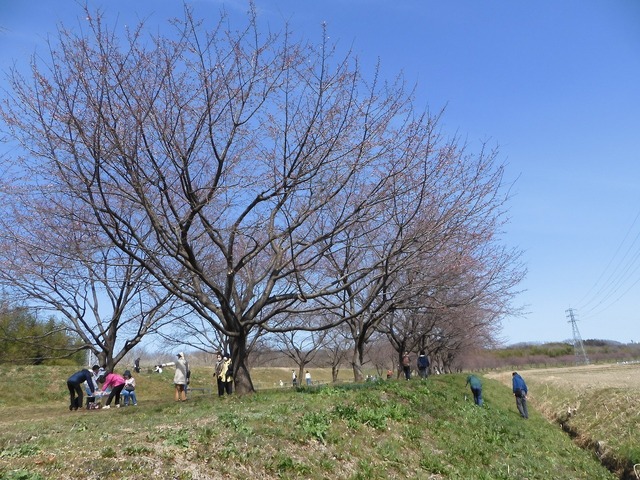 DSCN0828.jpg