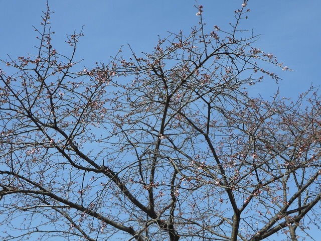 DSCN0829.jpg