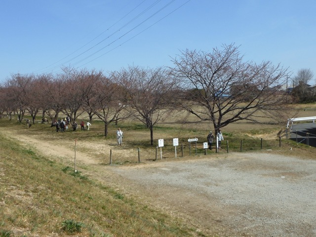 DSCN0831.jpg