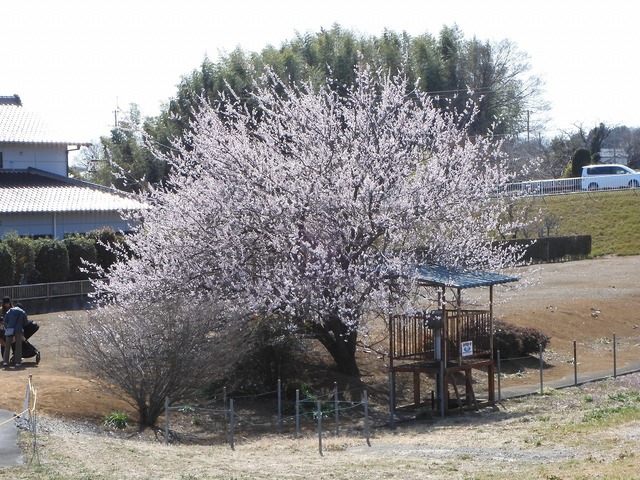 DSCN0833.jpg
