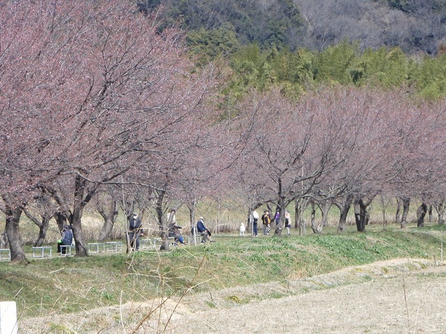 DSCN0836.jpg