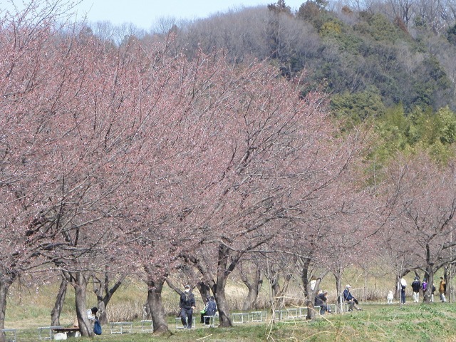 DSCN0837.jpg