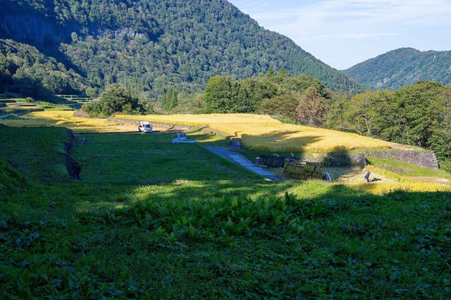 DSC_1970.jpg