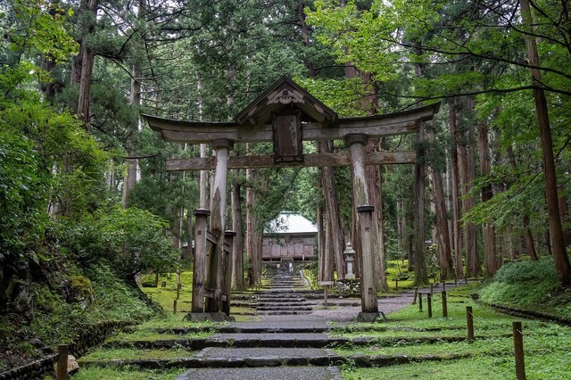 DSC_3026.jpg