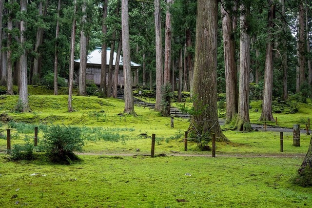DSC_3028.jpg
