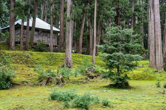 DSC_3030.jpg