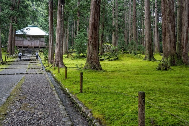 DSC_3034.jpg