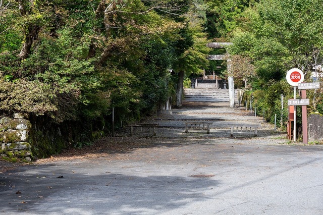 DSC_3351.jpg