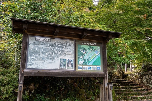 DSC_3419-2.jpg