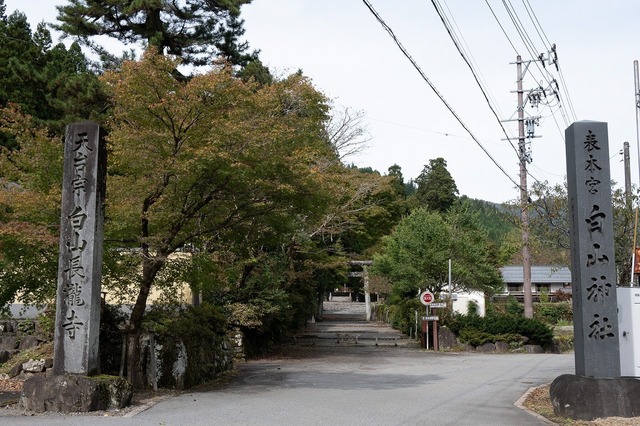 DSC_3422.jpg