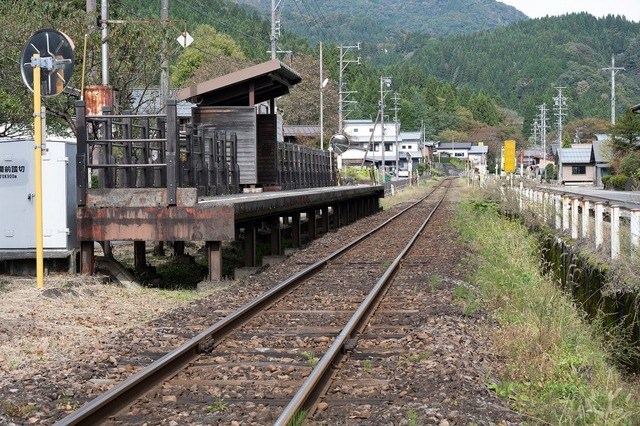 DSC_3425.jpg