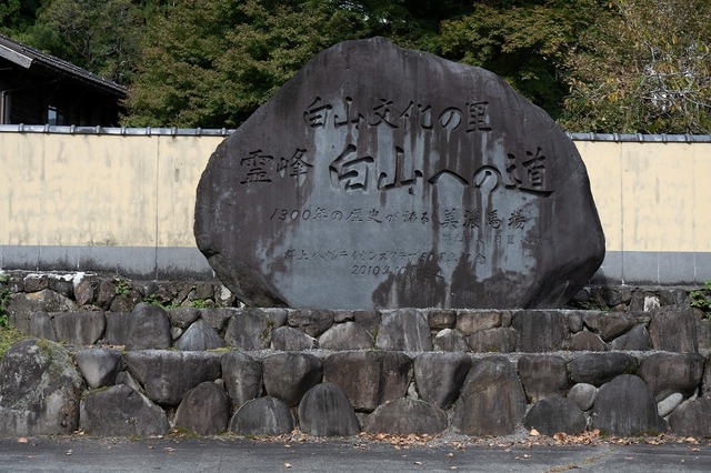 DSC_3427.jpg