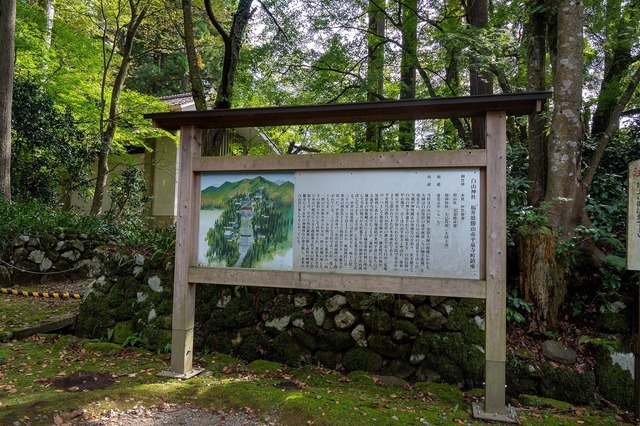 DSC_3459.jpg