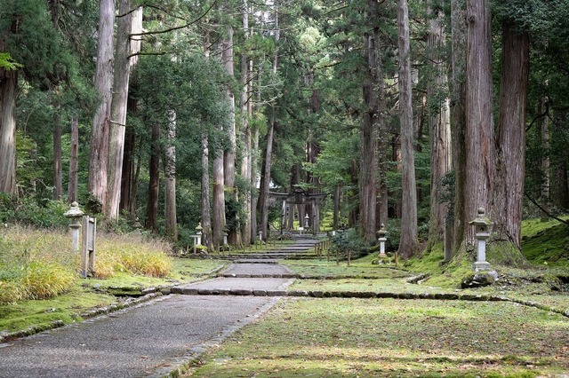 DSC_3466.jpg