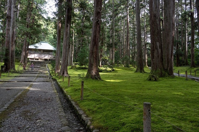 DSC_3474.jpg