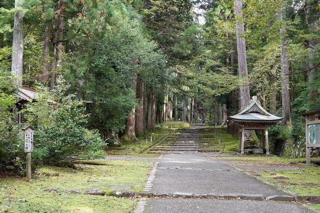 DSC_3492.jpg